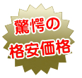 驚異の格安価格