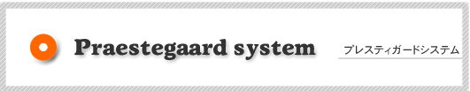PRAESTEGAARD system